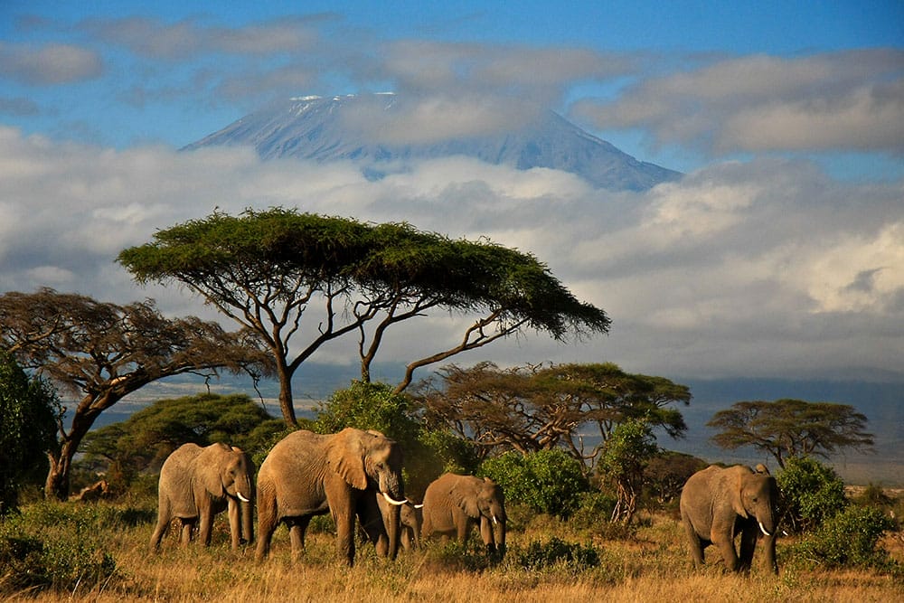 Proposte viaggio per l'Africa Centrale di Soluzione Viaggio