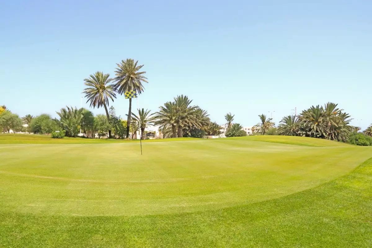 UN GOLF RESORT DI DJERBA con palme e cielo azzurro.