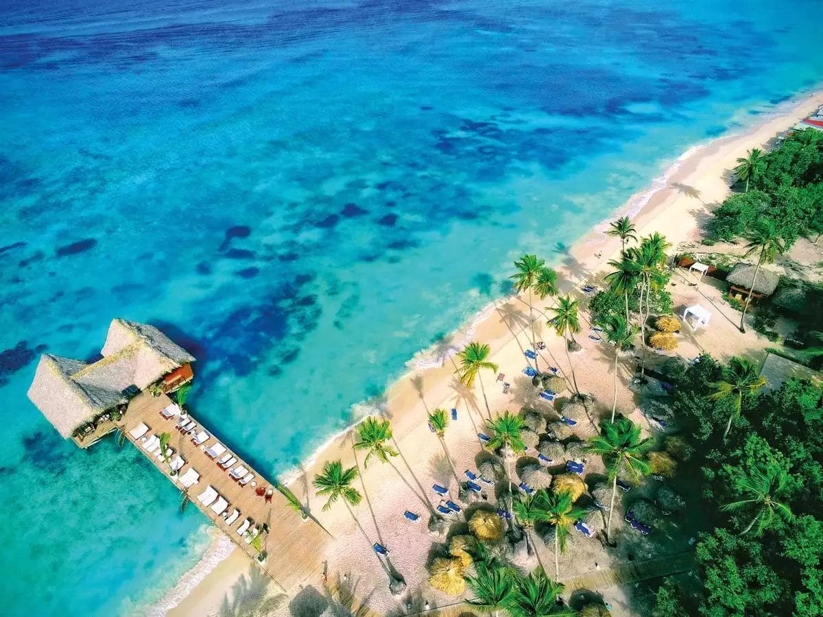 Una veduta aerea di una spiaggia con palme e un molo con DOMINICUS.