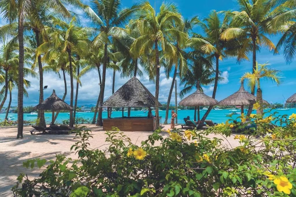 Una spiaggia BRAVO PREMIUM con palme e capanne di paglia.