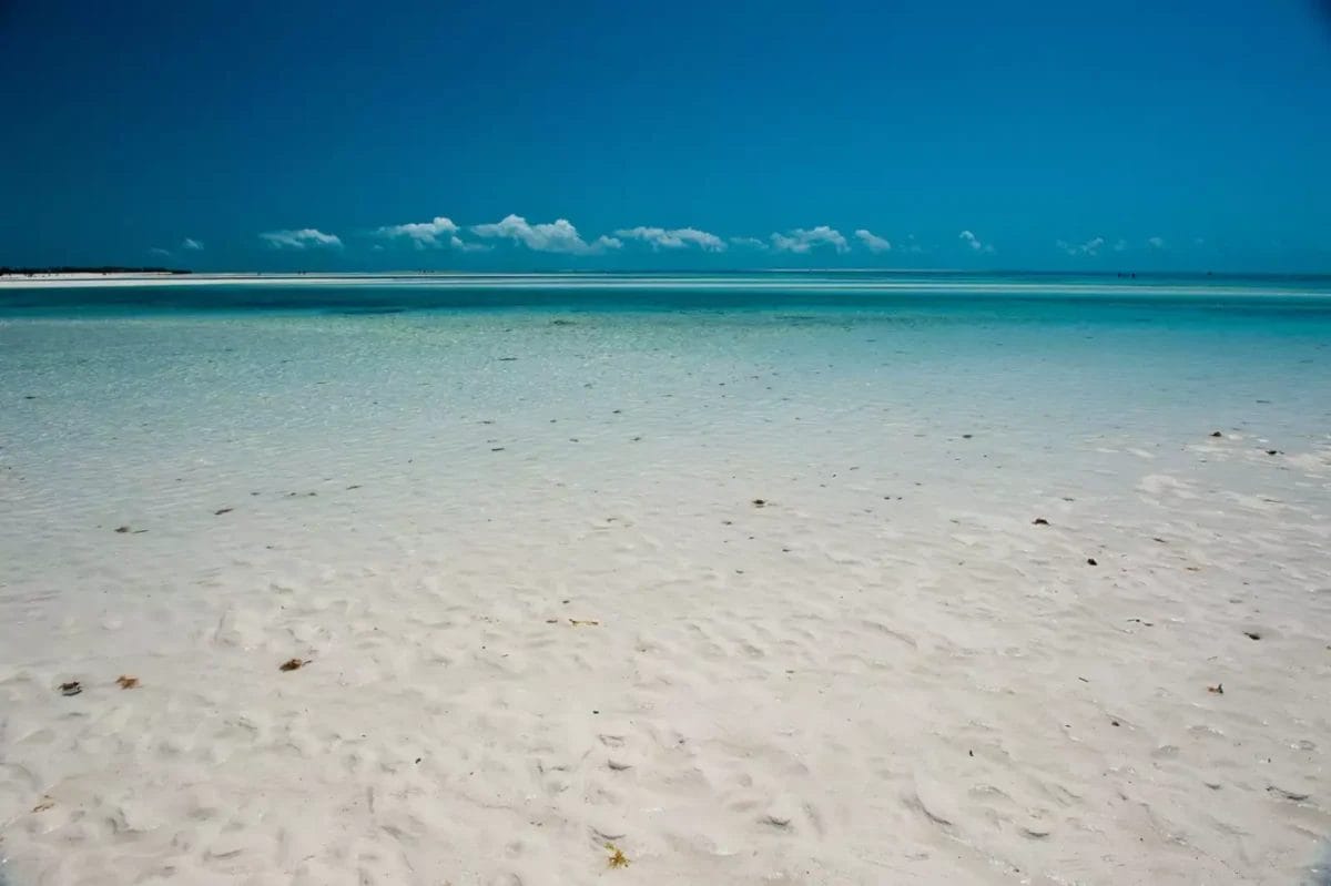 Benvenuto al Jacaranda Beach Resort, dove troverai una splendida spiaggia di sabbia bianca con acqua cristallina e un cielo che si abbina a vivaci tonalità di azzurro.