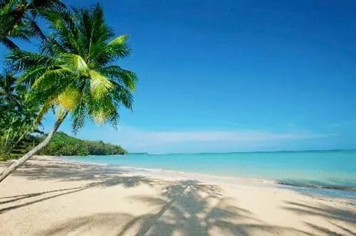 Una spiaggia sabbiosa a Khao Lak con palme.