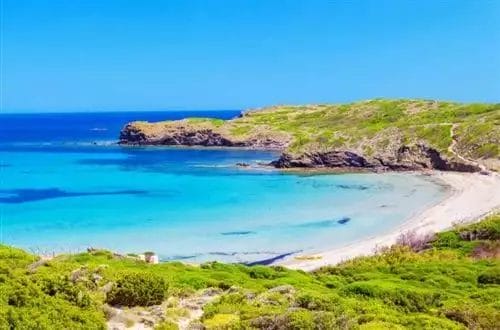 Una spiaggia con acqua cristallina e cespugli verdi a Bravo.