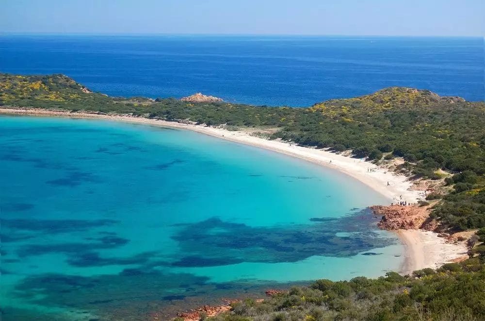 Una veduta aerea di BAJA BIANCA, una spiaggia con acqua azzurra e alberi verdi.