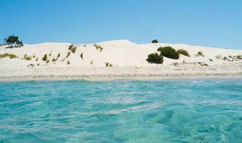 Una duna di sabbia con acqua cristallina e alberi a Porto Pino sembra assolutamente Bravo.