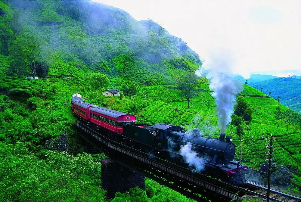 Un treno turistico invernale che viaggia attraverso una lussureggiante valle verde nello Sri Lanka.