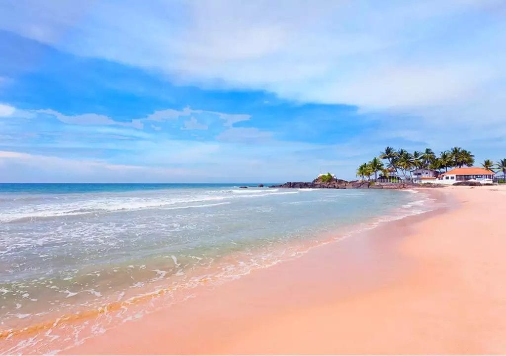 Una spiaggia fiancheggiata da palme nello Sri Lanka, con un cielo azzurro e limpido.