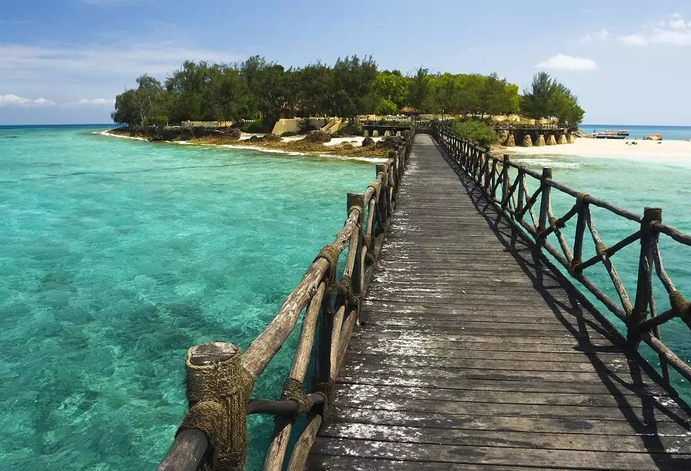 Un ponte di legno che conduce ad un'isola tropicale Lodge.