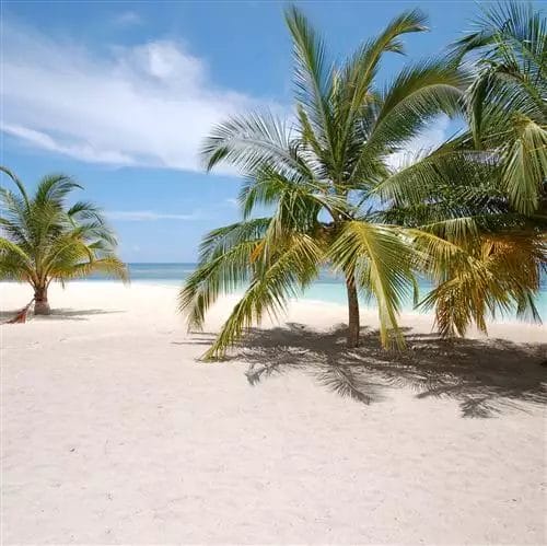 Spiaggia tropicale con palme, cielo azzurro e la grandiosità di LA ROMANA.