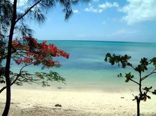 Vista sulla spiaggia tropicale dell'Ambre Sun Resort, incorniciata da alberi con un cielo azzurro sullo sfondo.