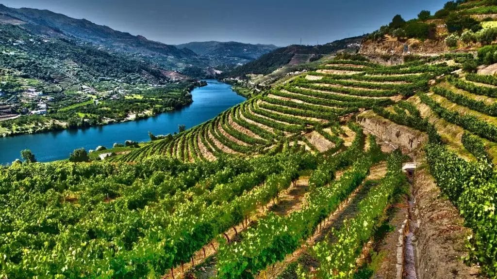 Veduta del fiume e dei vigneti della valle del Douro, una meraviglia del Portogallo.