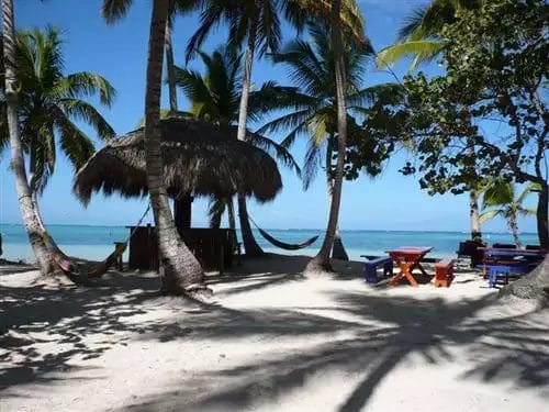 Scena di spiaggia tropicale nel lussuoso resort Grand Bahia Principe Turquesa con palme, amaca e riparo dal tetto di paglia affacciato sul mare.