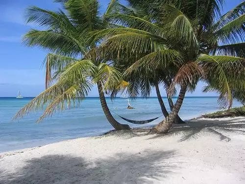 Le palme del resort ombreggiano una spiaggia sabbiosa con un'amaca affacciata su un calmo mare blu al Grand Bahia Principe Turquesa.