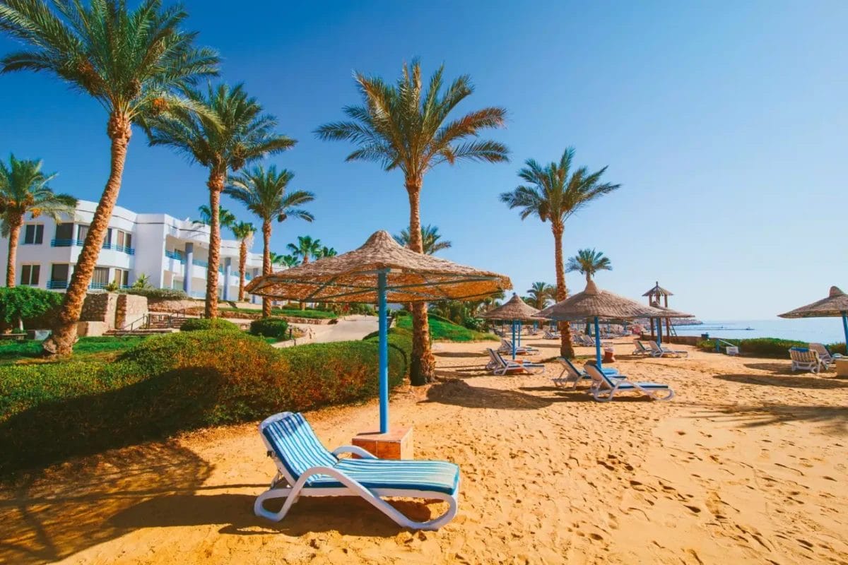 Un sereno Queen Sharm Resort con lettini e ombrelloni di paglia su coste sabbiose, fiancheggiato da rigogliose palme e un cielo azzurro e limpido.