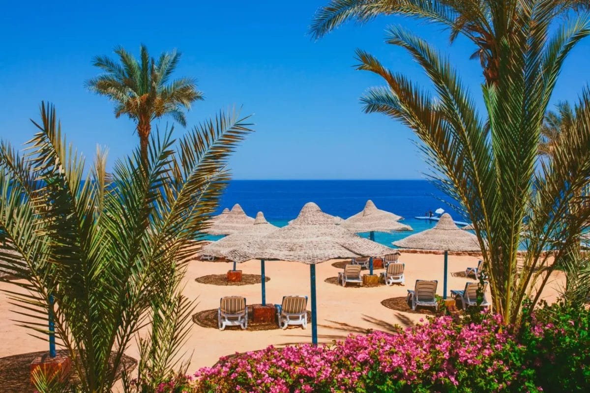 Rifugio tropicale al mare: i lettini vi attendono sotto i caratteristici ombrelloni di paglia del Queen Sharm Resort, incorniciati da palme rigogliose sullo sfondo del sereno oceano blu.