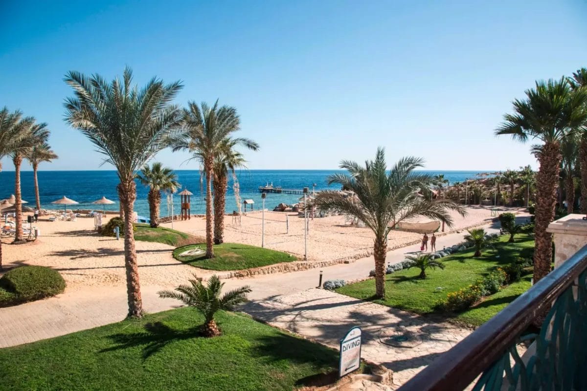 Vista tropicale del QUEEN SHARM RESORT con palme, lettini prendisole e un cielo azzurro e limpido che si affaccia sull'oceano sereno.