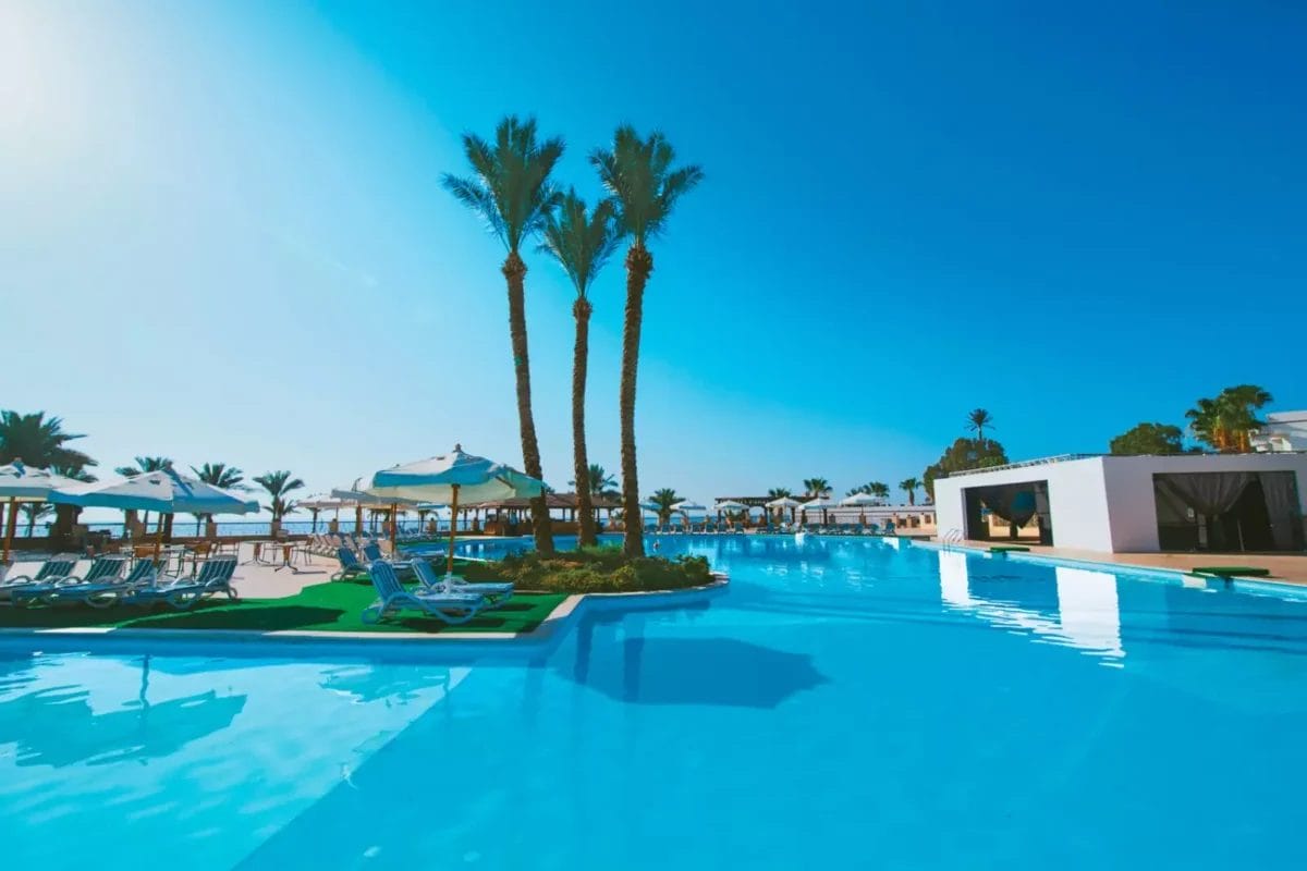 Paradiso tropicale al Queen Sharm Resort: una piscina soleggiata con lettini, palme e cielo azzurro.