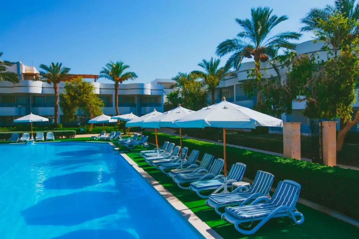 Invitante rifugio di lusso a bordo piscina con lettini e ombrelloni sullo sfondo di rigogliose palme e sistemazioni moderne al Queen Sharm Resort.