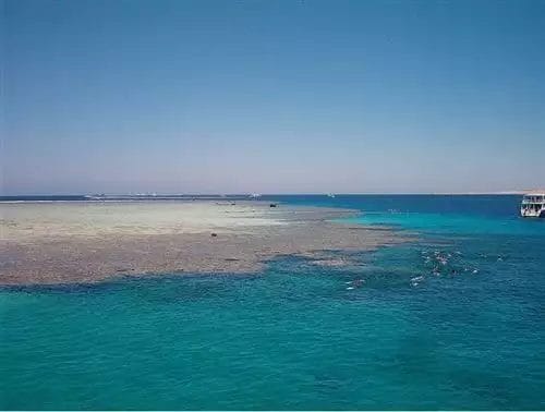 Mare blu calmo con barriere coralline visibili vicino alla superficie e barche in lontananza, vicino al Pyramisa Beach Resort.