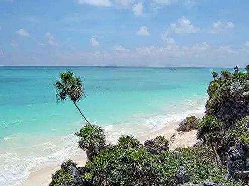 Una palma solitaria appoggiata su una spiaggia tropicale nel resort di lusso Veraclub Royal Tulum, con acque turchesi limpide e un cielo blu.