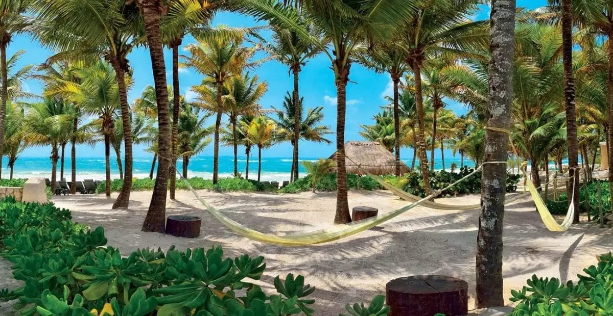 Royal Tulum VERACLUB: palme e amache su una spiaggia sabbiosa con vista sull'oceano.