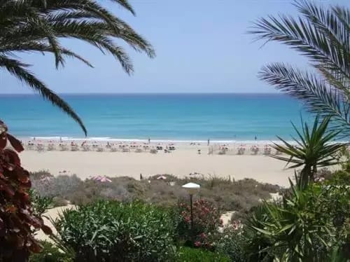 Vista sulla spiaggia presso l'SBH Costa Calma con un'ampia distesa sabbiosa, ombrelloni e un calmo oceano blu, splendidamente incorniciato da palme e vegetazione lussureggiante.