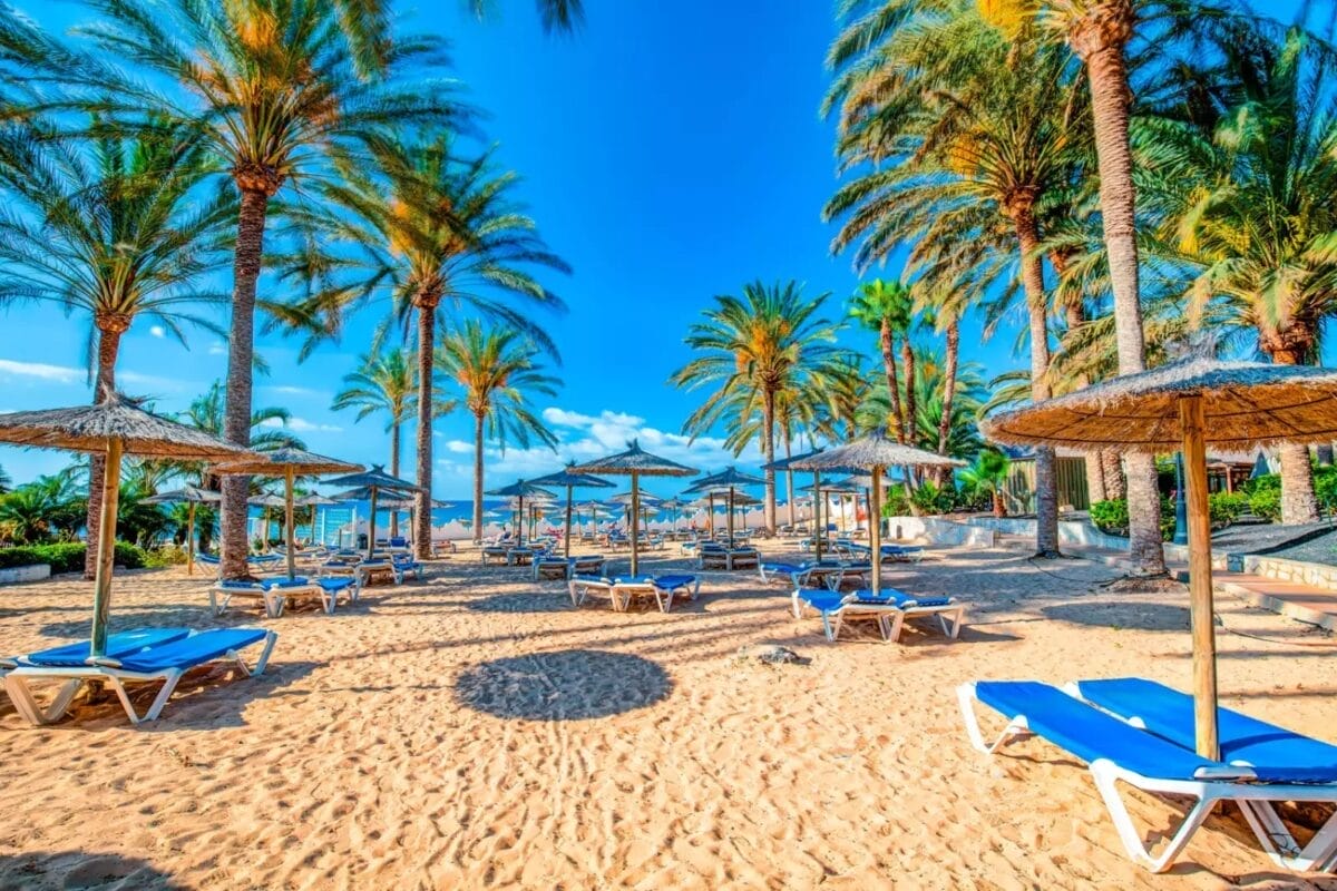 Una spiaggia sabbiosa con sedie a sdraio blu e ombrelloni di paglia sotto alte palme in una giornata di sole allo SBH Costa Calma Beach.