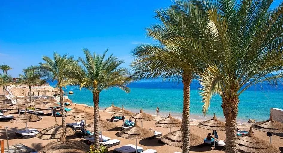 Scena di spiaggia con palme, ombrelloni di paglia e lettini prendisole a Laguna Vista. Il mare azzurro e limpido si estende sotto un cielo luminoso e terso.