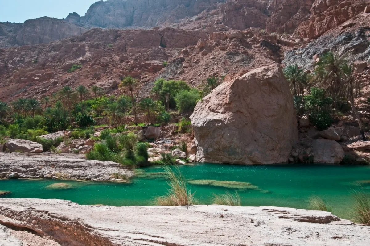 Una piscina turchese circondata da scogliere rocciose e palme in un paesaggio desertico.