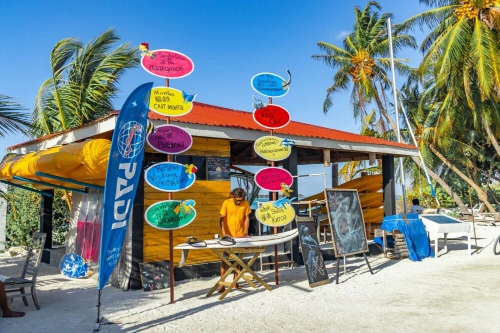 Un piccolo noleggio sulla spiaggia con cartelli colorati che pubblicizzano le attività acquatiche si trova vicino allo SKY BEACH HOTEL, circondato da palme, kayak e una bandiera blu in una giornata di sole. Un dipendente attende dietro il bancone sotto una tettoia rossa.