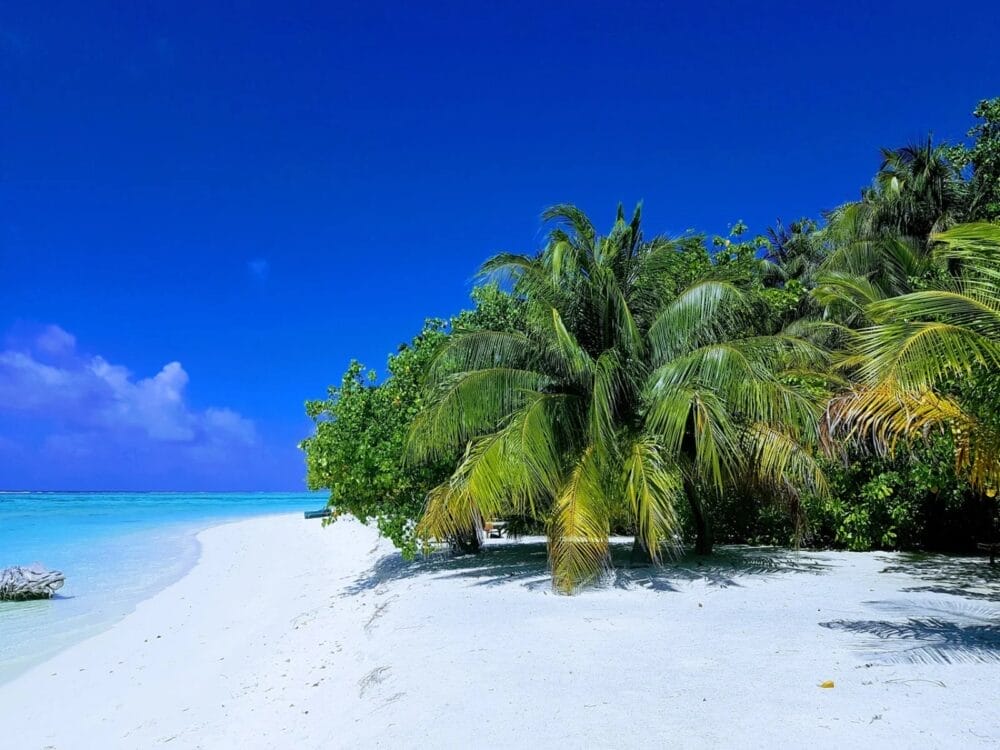 Spiaggia tropicale con sabbia bianca, acqua limpida e turchese e palme verdi sotto un cielo blu intenso: l'ideale per un soggiorno rilassante allo SKY Beach Hotel in una giornata di sole.