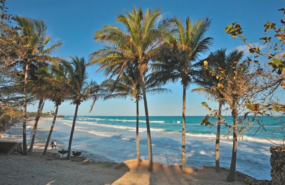 Alte palme costeggiano la spiaggia sabbiosa del MELIA Varadero, con le onde che si infrangono sulla riva sotto un cielo azzurro e limpido; la luce del sole proietta lunghe ombre mentre l'oceano si estende all'orizzonte.