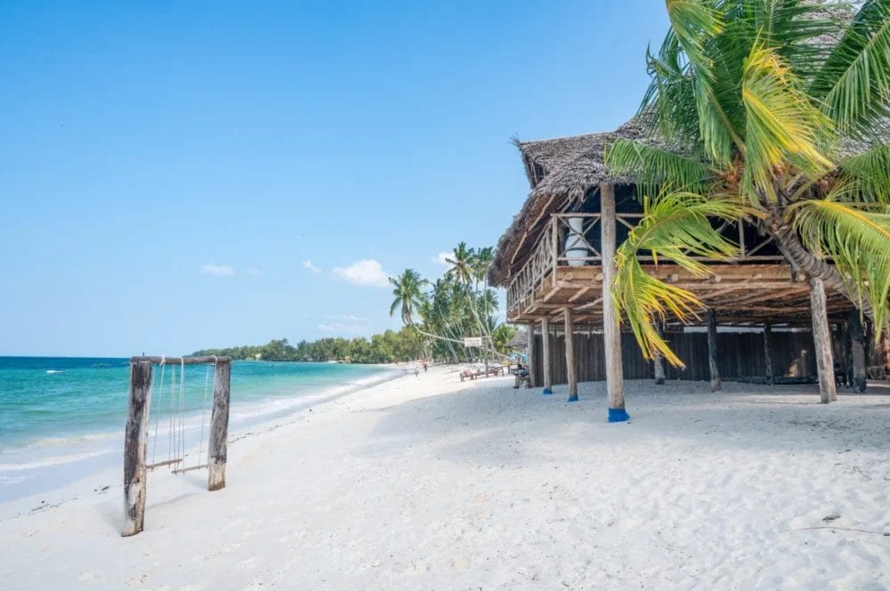 Al BLU MARLIN BEACH RESORT vi attende una spiaggia tropicale con sabbia bianca, acqua limpida e turchese, palme e una capanna rustica in legno con tetto di paglia. Un'altalena di legno si trova vicino alla riva, sotto un cielo blu brillante.
