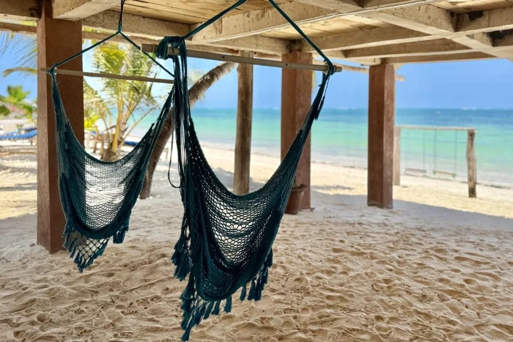 Due amache appese sotto una tettoia in legno sulla sabbia del BLU MARLIN BEACH RESORT, di fronte all'oceano turchese. La luce del sole filtra, con palme e un'altalena sullo sfondo: una fuga tranquilla e tropicale.