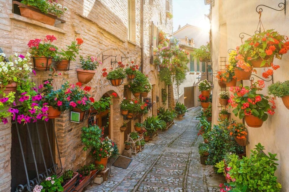 Uno stretto vicolo acciottolato dell'Umbria, fiancheggiato da antichi edifici in mattoni e da rigogliosi fiori in vaso, si crogiola nella calda luce del sole; vivaci fioriture decorano i muri e i davanzali di questa affascinante strada, perfetta per un tour classico o una fuga di viaggio.
