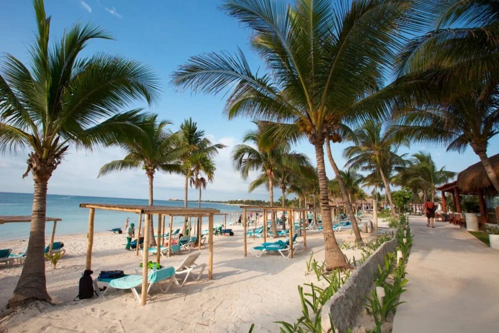 Una località balneare tropicale con sabbia bianca, palme e file di sedie a sdraio blu sotto strutture ombreggianti in legno. Persone che si rilassano sulla riva della baia di Akumal, con un sentiero chiaro lungo la spiaggia e l'oceano e il cielo blu sullo sfondo.