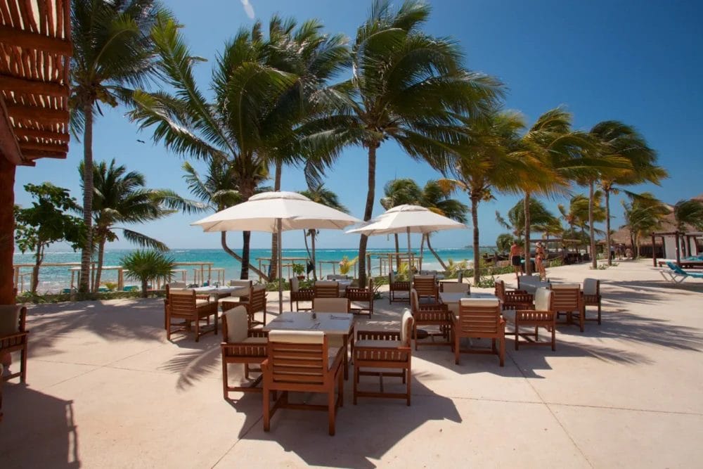 Patio esterno con tavoli e sedie in legno sotto ombrelloni bianchi, circondato da palme, con vista sulla spiaggia sabbiosa e sull'oceano turchese della baia di Akumal, ideale per rilassarsi in un lussuoso resort sulla spiaggia in una giornata di sole.