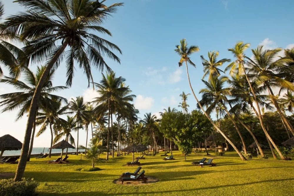 Il Neptune Paradise Beach Resort è un resort tropicale sulla spiaggia del Kenya con alte palme, erba verde, sedie a sdraio in legno e ombrelloni di paglia, il tutto accanto all'oceano sotto un cielo blu con nuvole sparse.